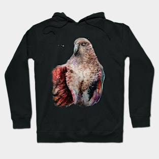 Kea Alpine Parrot Hoodie